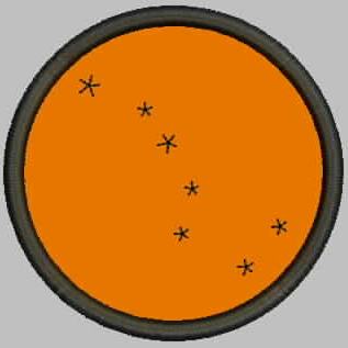 Astronom