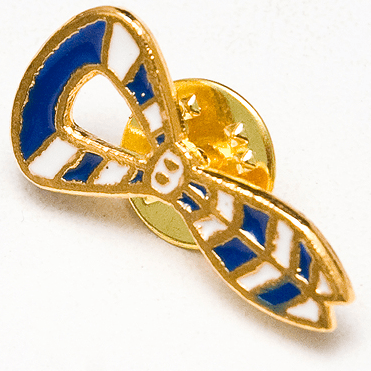 Pin Explorator