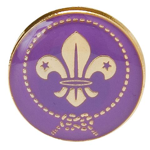 Pin OMMS mic